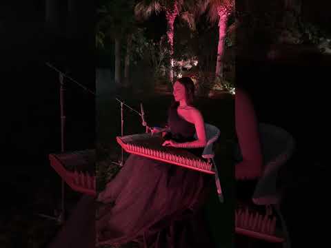 Private performance for Gargash family