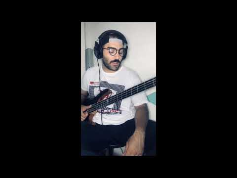 Muse - Undisclosed Desires (Bass cover)