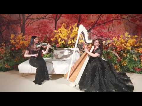 Duo with Violin