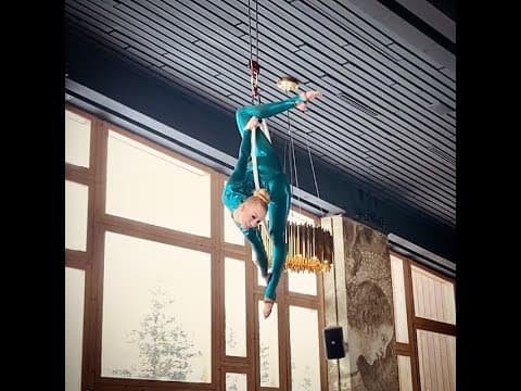 Aerial Hoop