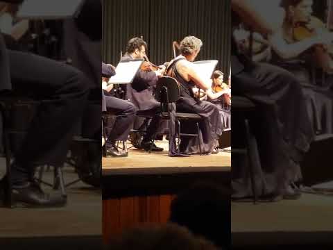 felipecoelhoviolao 5