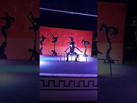 Free style ladder act by fasil