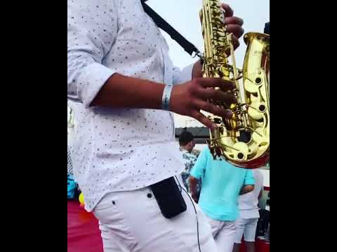 Dani Sax