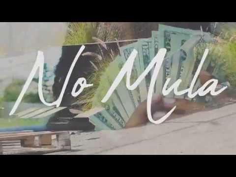 Palmetto Wave — "No Mula" [Official Video]