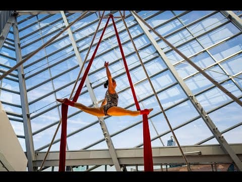 Aerial Silks Performance Reel - 2022