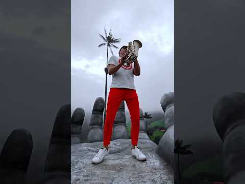 Gata Only - Ariel Saxo (Cover)