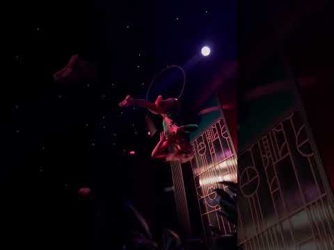 Hold my hand Aerial hoop