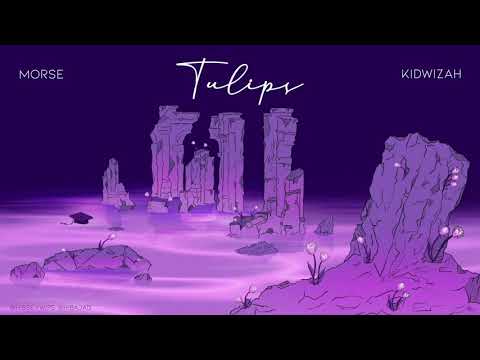 Tulips - XDrop ( Ft. Morse & Kidwizah)