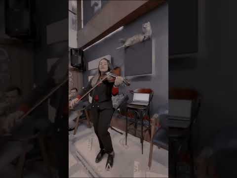 julnar jerjes violinist 2