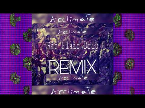 Ric Fair Drip Remix
