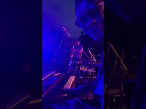 Dancing monkey NYE 2025