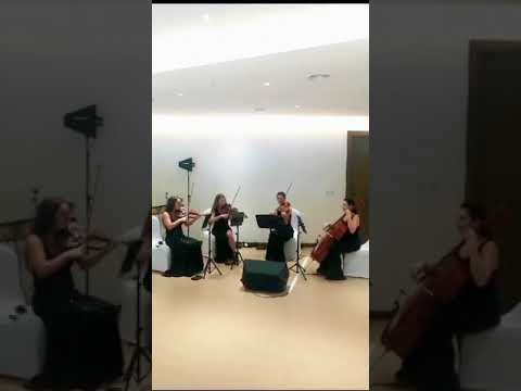 String Quartet