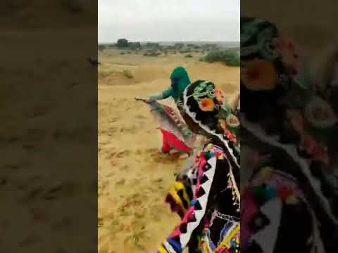 Dance in the desert with kalbeliya gypsies from India. Thar desert, Rajasthan. India. November 2019