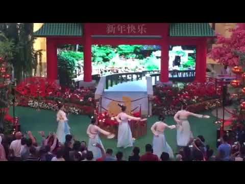 Fan Dancers