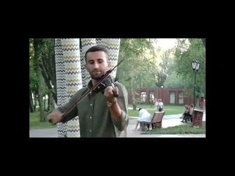 grisha 6