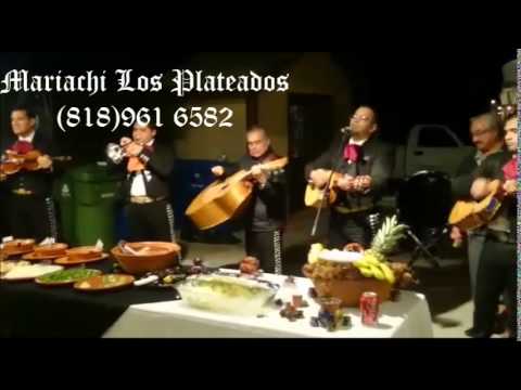 el milagro los plateados