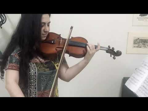 Lucie Violin 8