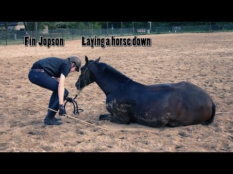 Fin Jopson – Laying a horse down