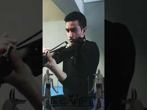 ebrahimsalehviolinist 2