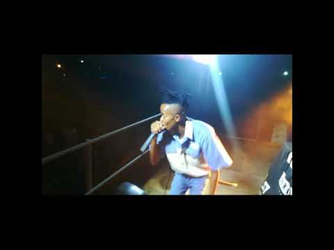 Pxel Performance