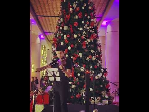 raselviolin 5