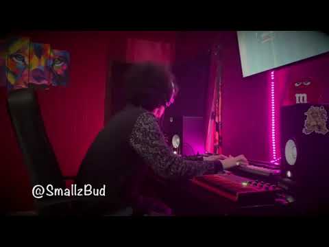 smallzbud 4