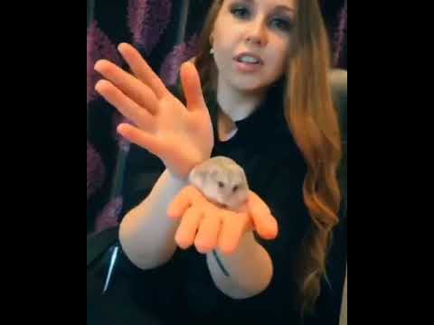 Yana Miracles