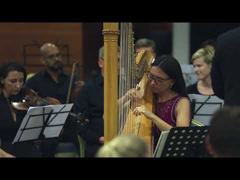 Patrizia Masutti plays Handel Harp Concerto (short version)