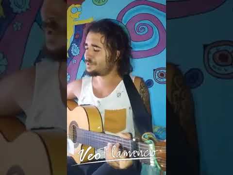 ADAN BORGES "Yo te vi pasar" | VEOFLAMENCO
