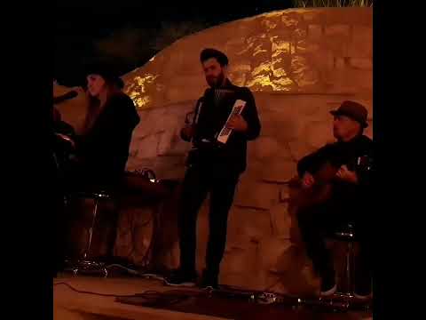 timofey musician 6