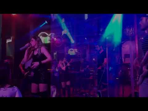MegaPhonics Live Gigs