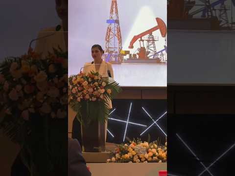 Huawei Oil & Gas Summit 2025
