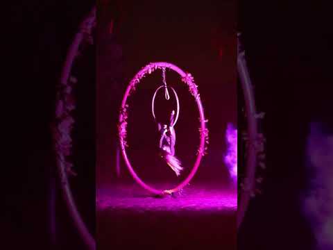 Aerial Hoop 2
