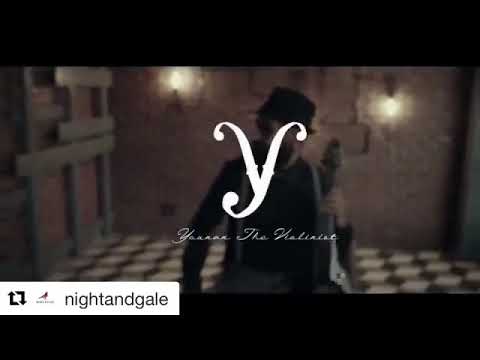 younantheviolinist 2