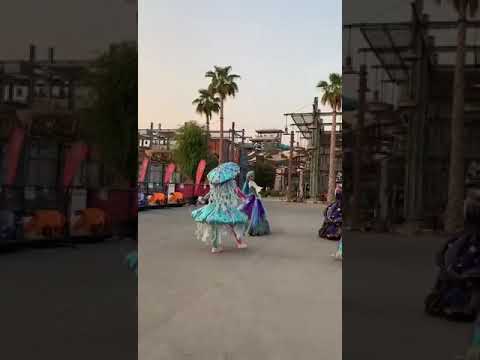 Underwater Shows