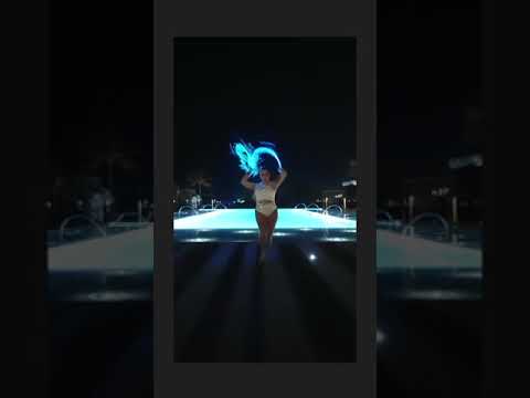 LED Pixel Whip