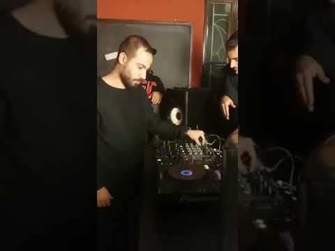 djashjunior 4