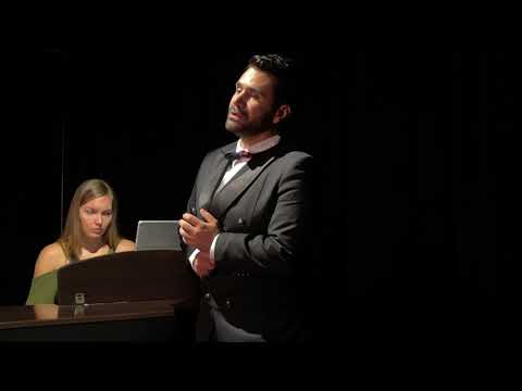 Una Furtiva Lagrima from L'elisir D'amore - Opera