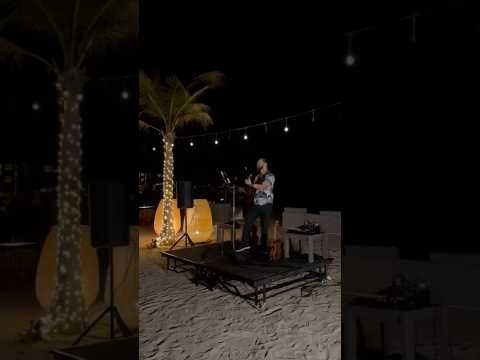 Singer guitarist live performance