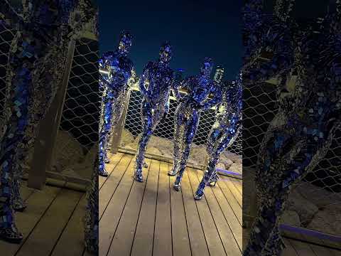 Mirror  Lady Roaming / Model