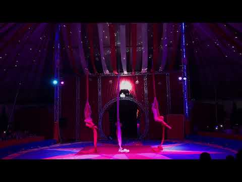 Air Trio Silks from Russia , Egypt 2019