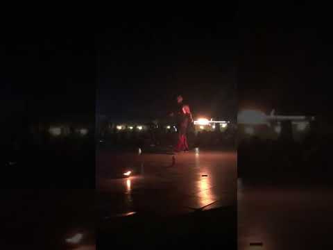 Safari Performance 2