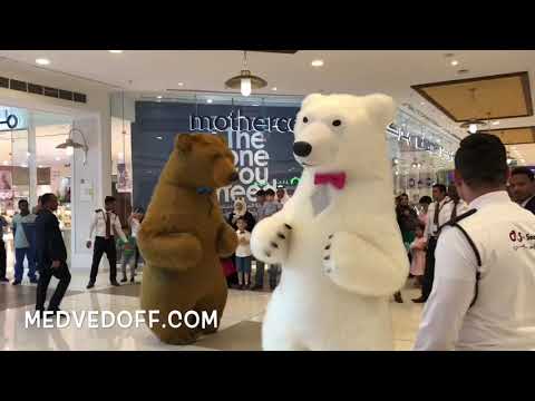 Dancing fluffy bears show, performance in Qatar, Doha
