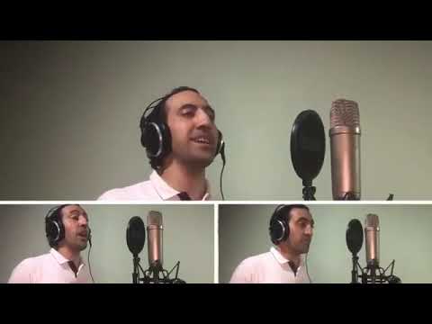 ehab hamdi