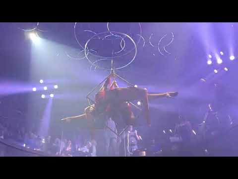 Duo Aerial Hoop