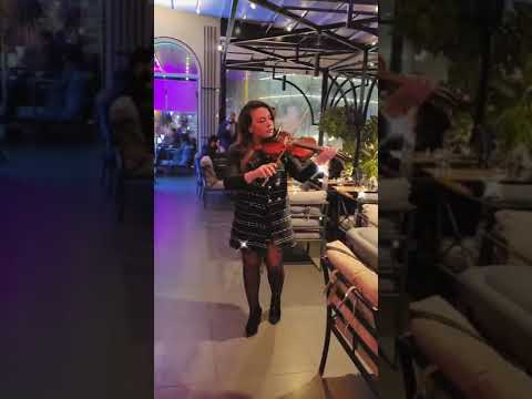 julnar jerjes violinist 5