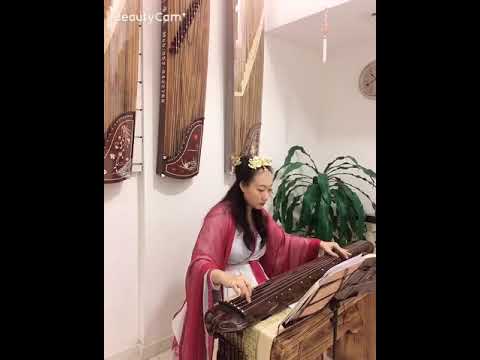 Musician
