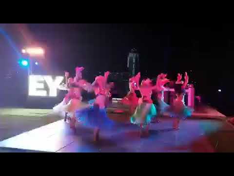 Hawaiian Dance Show