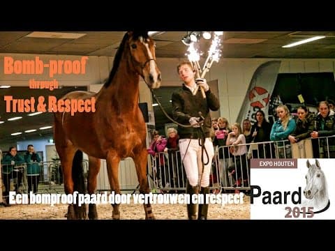 Bomb-proof Sport Horse – Trust & Respect – Paard 2015 Horsemanship Demo by Fin Jopson