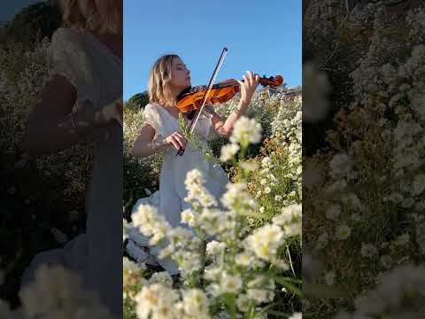 anna 4